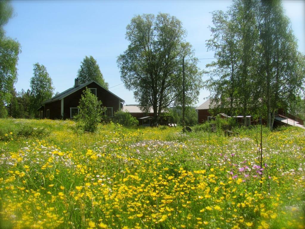 Ellis Garden Vemhån Exterior foto